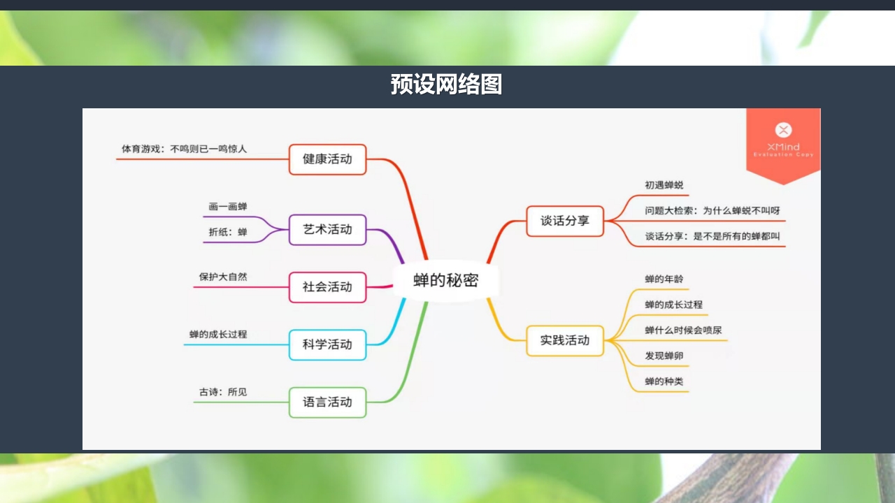 《蝉的秘密》幼儿园大班班本课程PPT课件8
