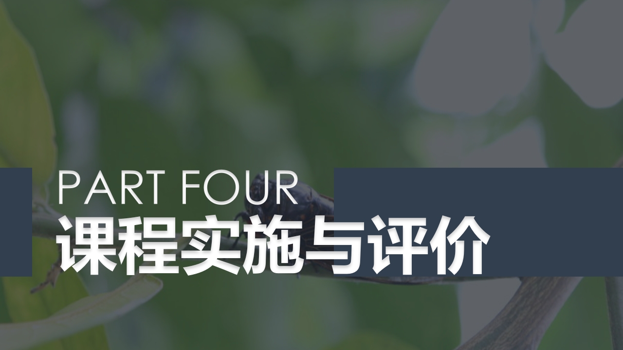 《蝉的秘密》幼儿园大班班本课程PPT课件9