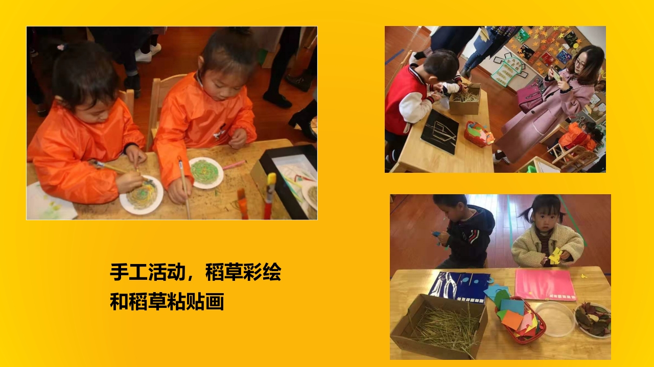 《有趣的稻草》幼儿园大班班本课程PPT课件17