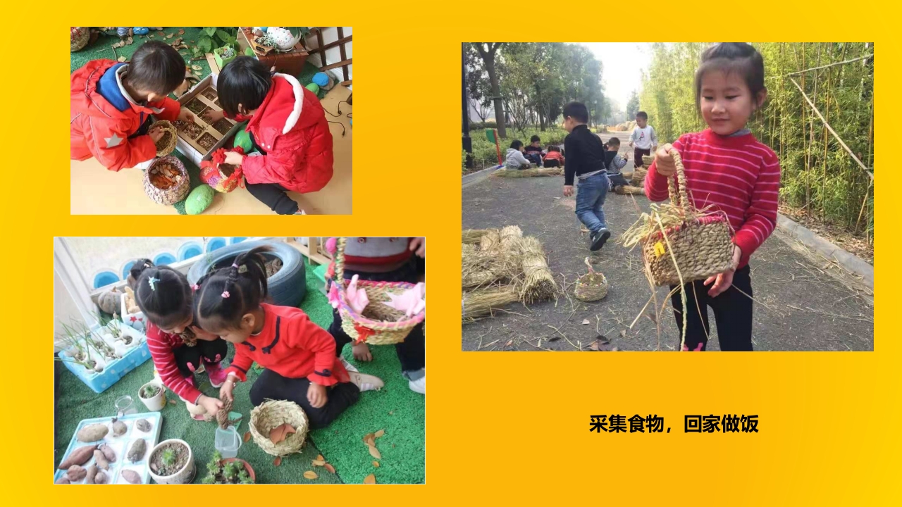 《有趣的稻草》幼儿园大班班本课程PPT课件23