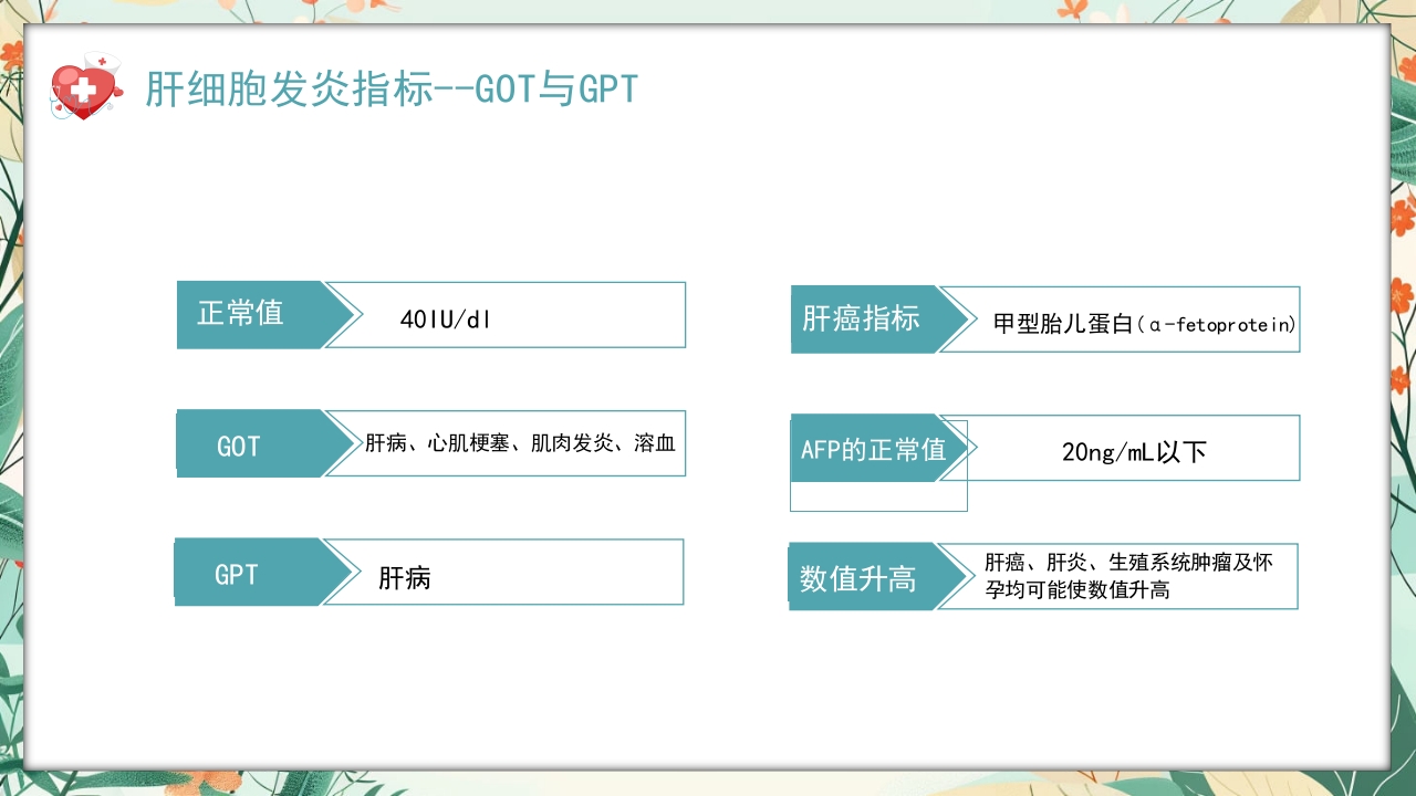 全国爱肝日肝癌的预防与治疗培训PPT课件10