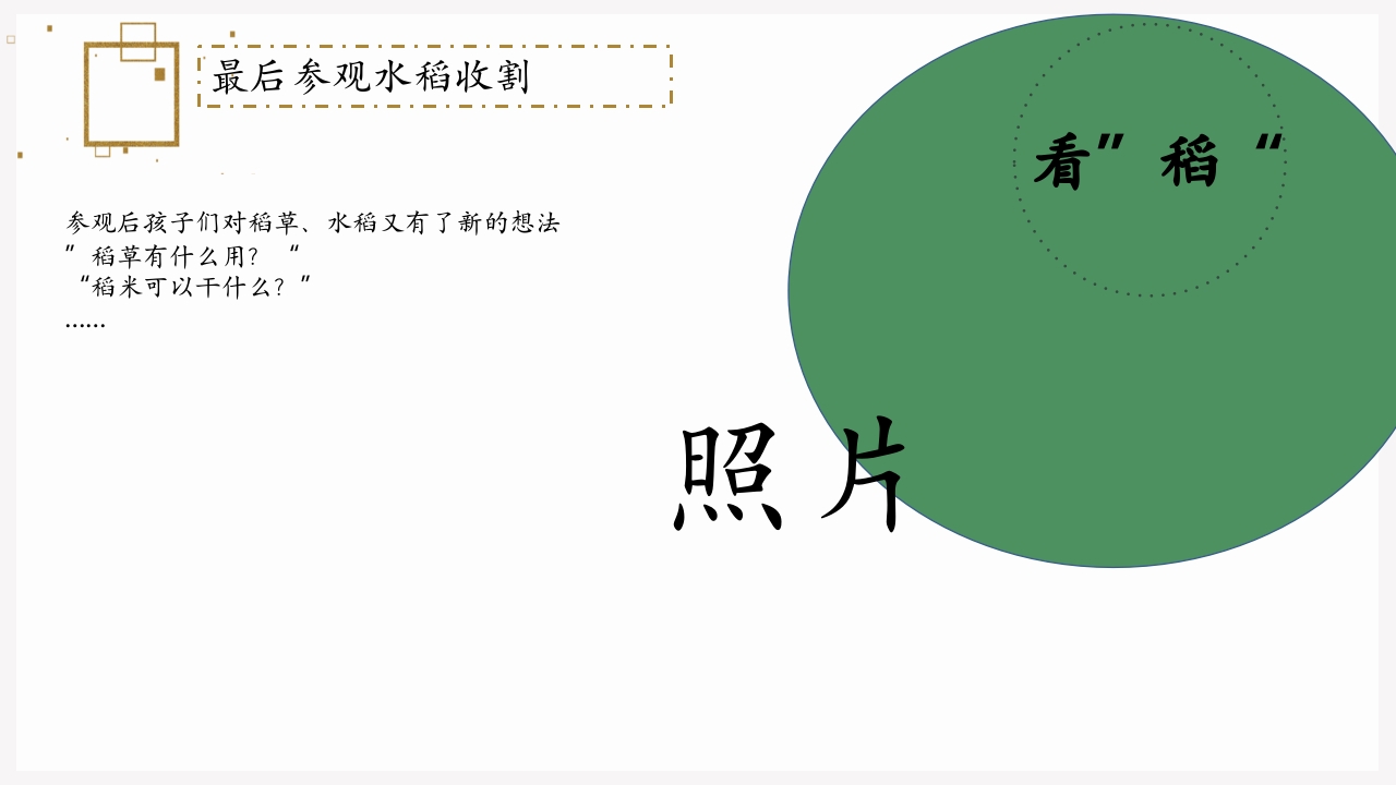 《遇“稻”一粒米》幼儿园中班课程故事PPT课件10