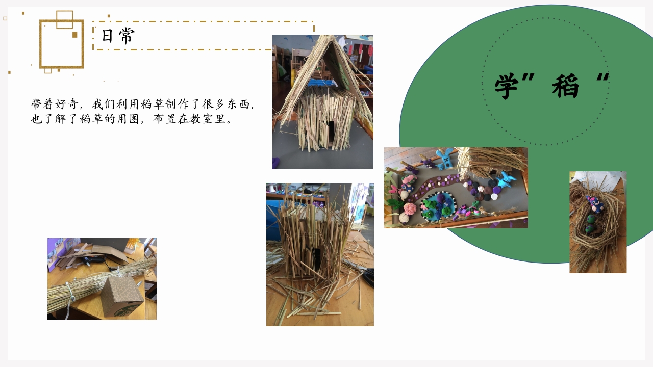 《遇“稻”一粒米》幼儿园中班课程故事PPT课件11