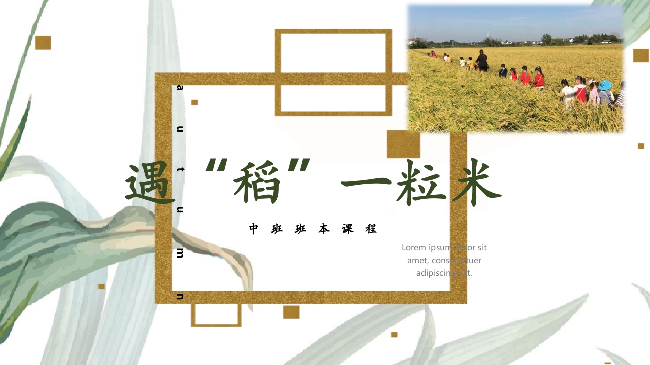 《遇“稻”一粒米》幼儿园中班课程故事PPT课件1