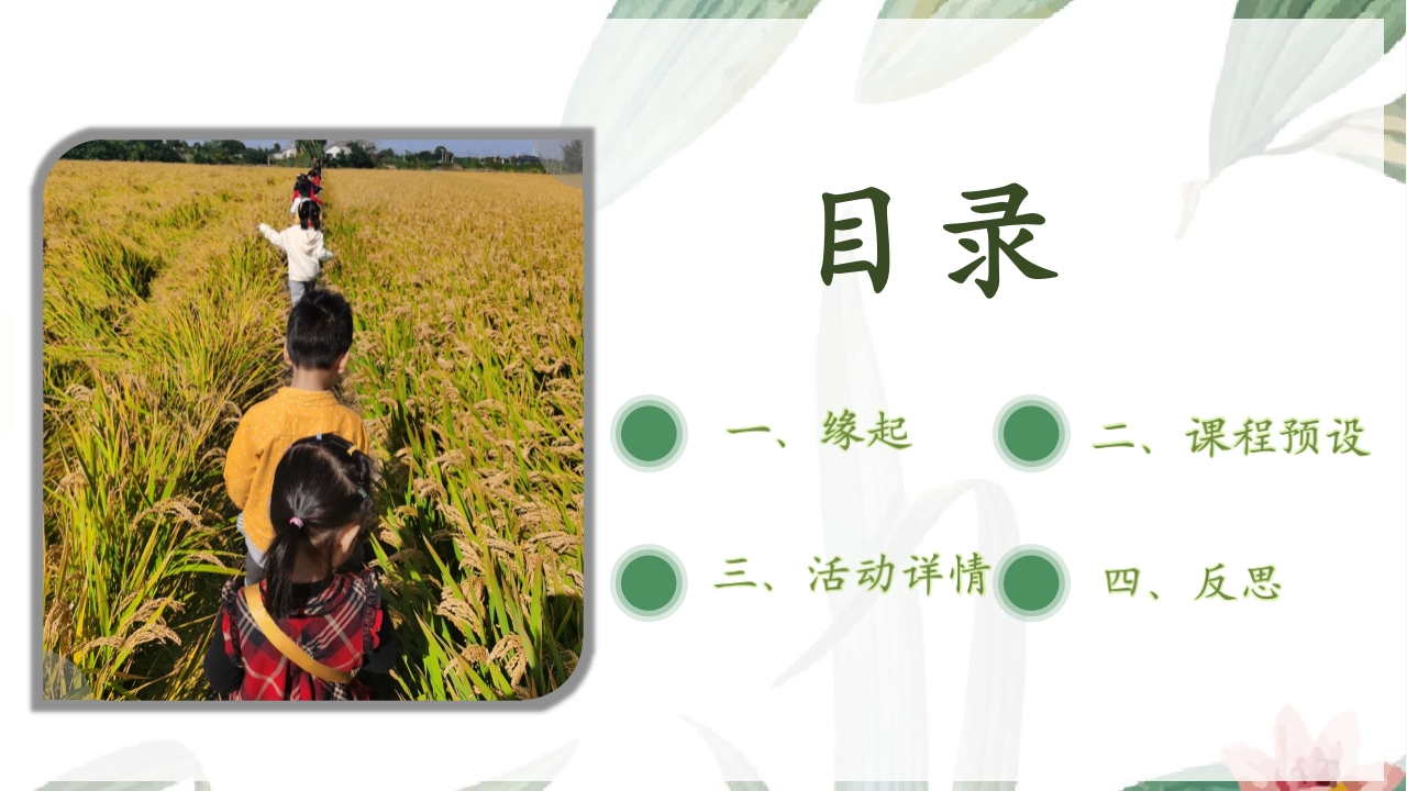 《遇“稻”一粒米》幼儿园中班课程故事PPT课件2