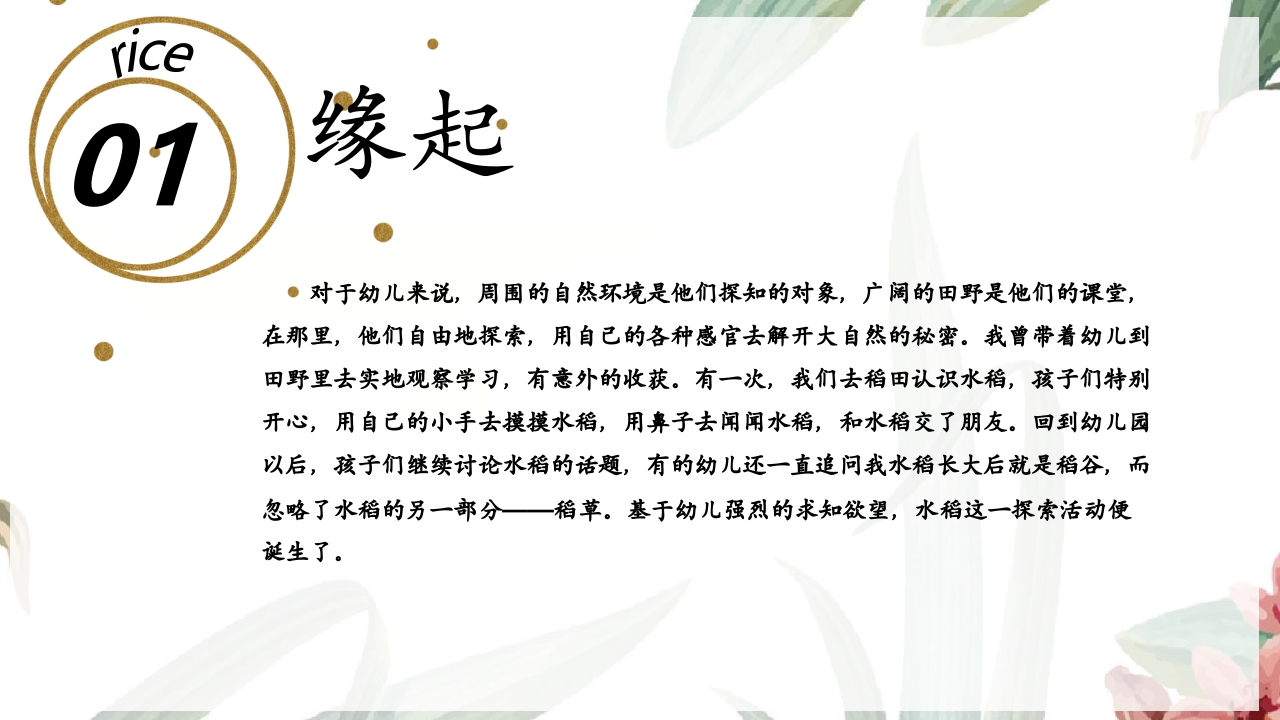 《遇“稻”一粒米》幼儿园中班课程故事PPT课件3