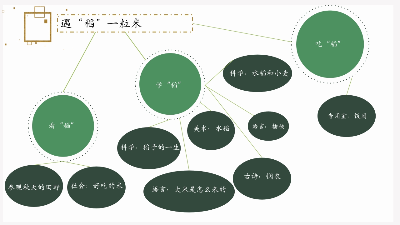 《遇“稻”一粒米》幼儿园中班课程故事PPT课件5