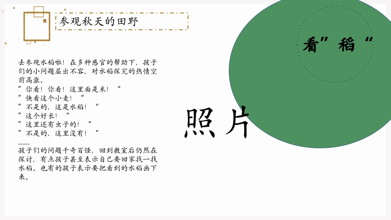 《遇“稻”一粒米》幼儿园中班课程故事PPT课件7
