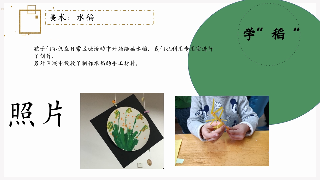 《遇“稻”一粒米》幼儿园中班课程故事PPT课件8