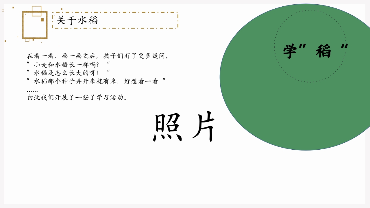 《遇“稻”一粒米》幼儿园中班课程故事PPT课件9