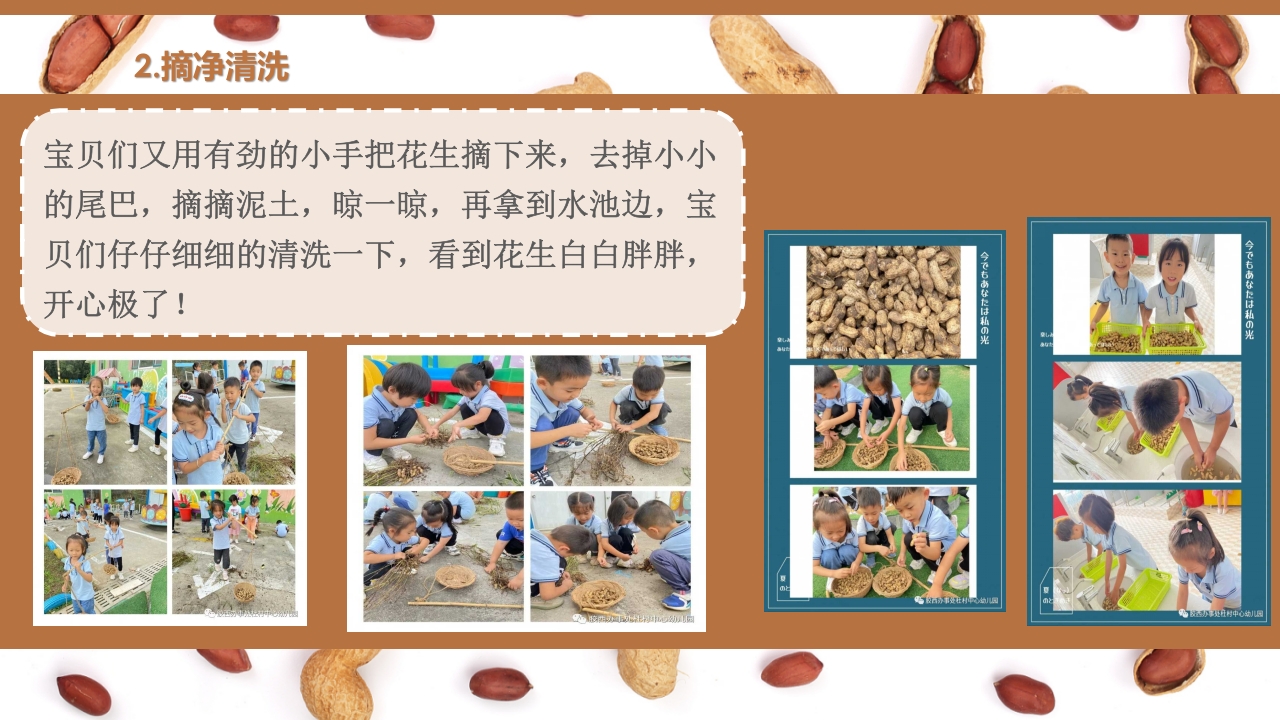 《花生日记》幼儿园大班班本课程PPT课件10