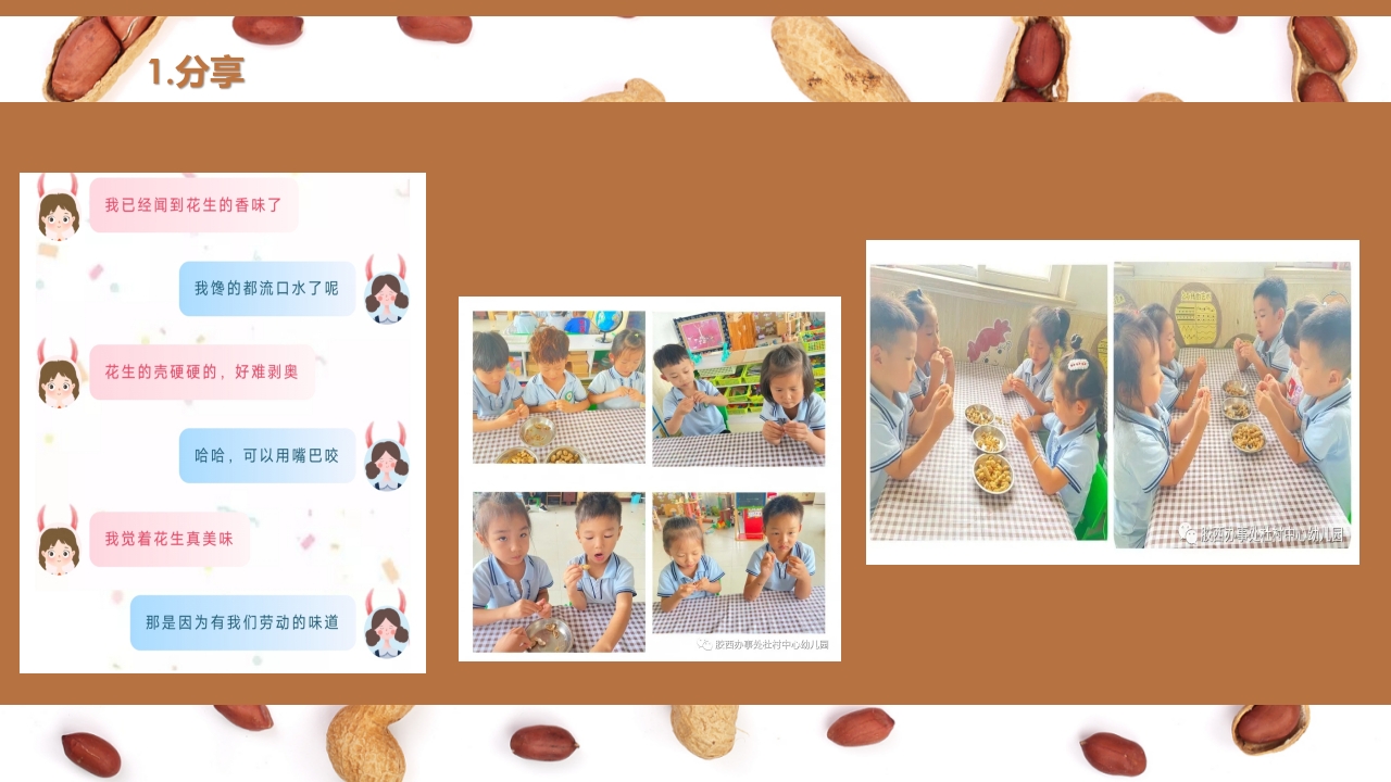 《花生日记》幼儿园大班班本课程PPT课件12