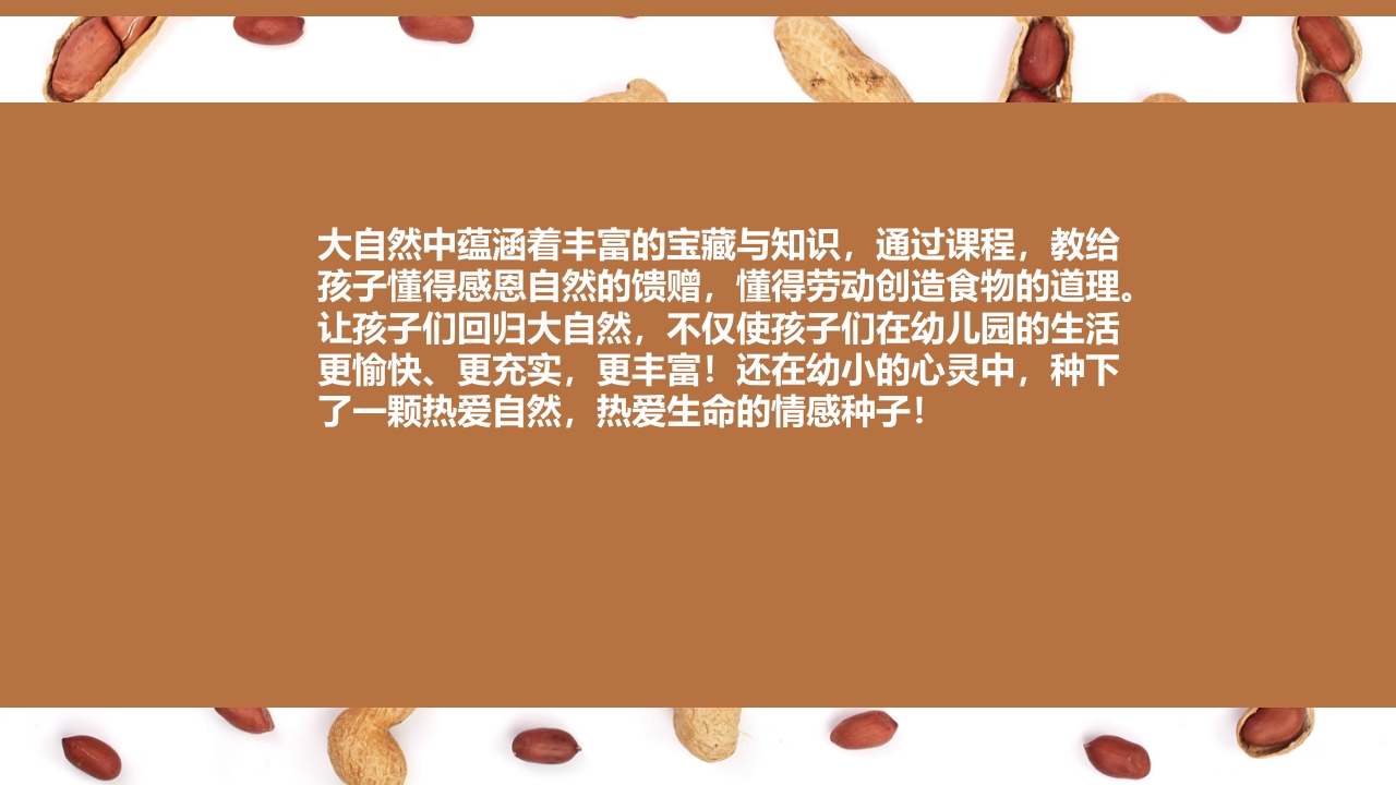 《花生日记》幼儿园大班班本课程PPT课件16