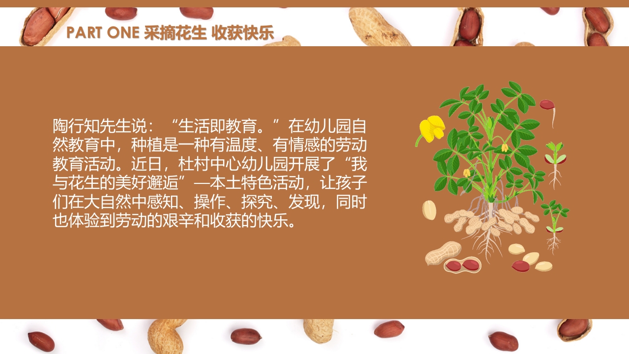 《花生日记》幼儿园大班班本课程PPT课件4