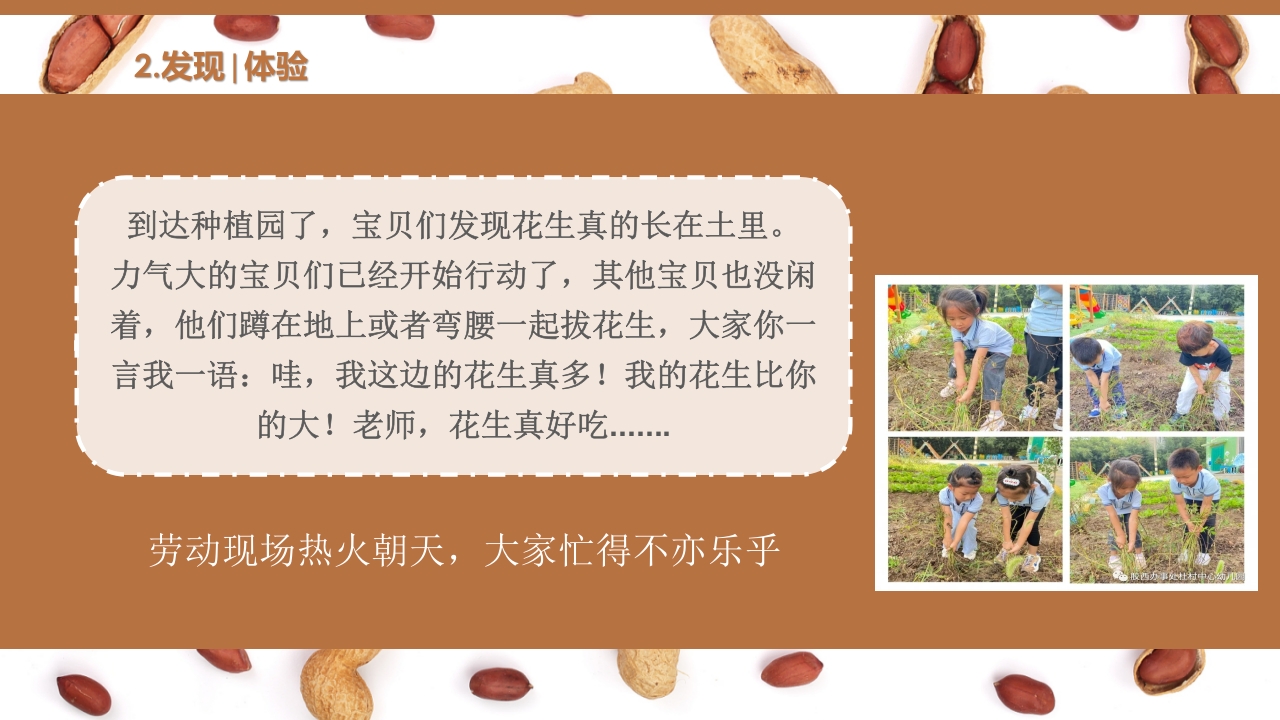 《花生日记》幼儿园大班班本课程PPT课件7