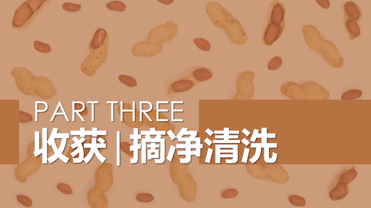《花生日记》幼儿园大班班本课程PPT课件8
