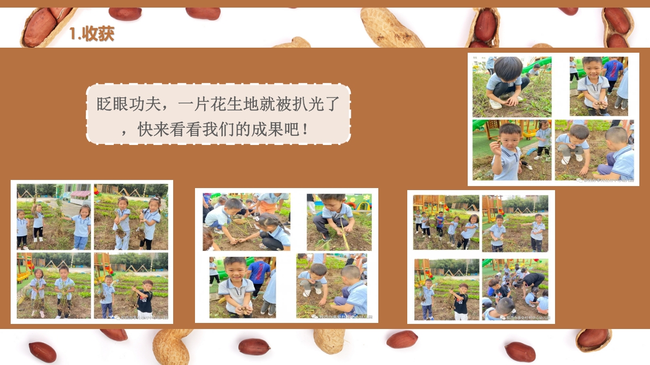 《花生日记》幼儿园大班班本课程PPT课件9