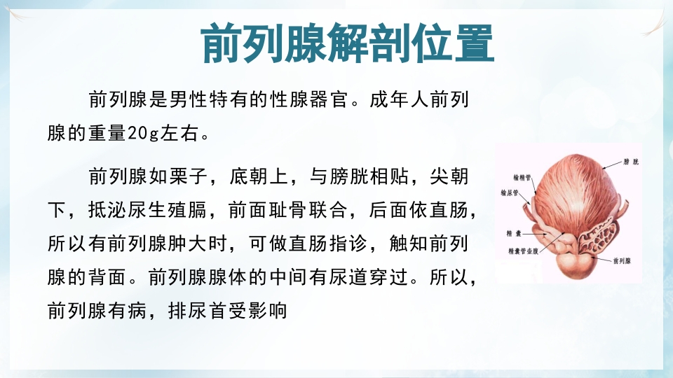 前列腺增生症的治疗及护理PPT课件3