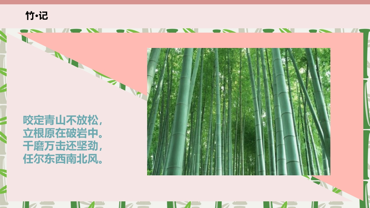 《竹子真好玩》幼儿园中班班本课程故事PPT课件14