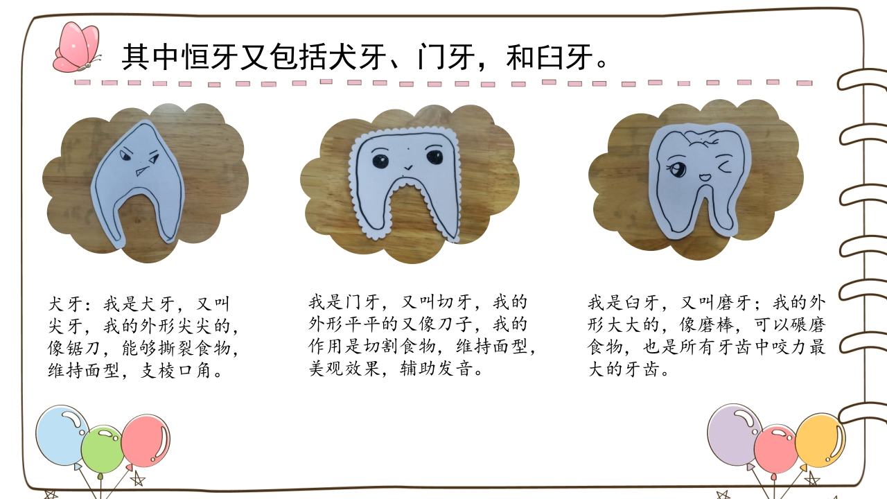 《牙齿咔咔咔》幼儿园大班班本课程故事PPT课件16
