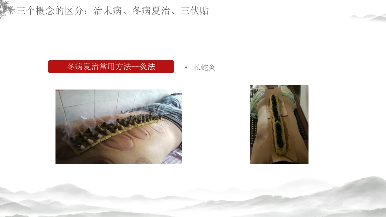 中医养生冬病夏治三伏贴介绍PPT课件19