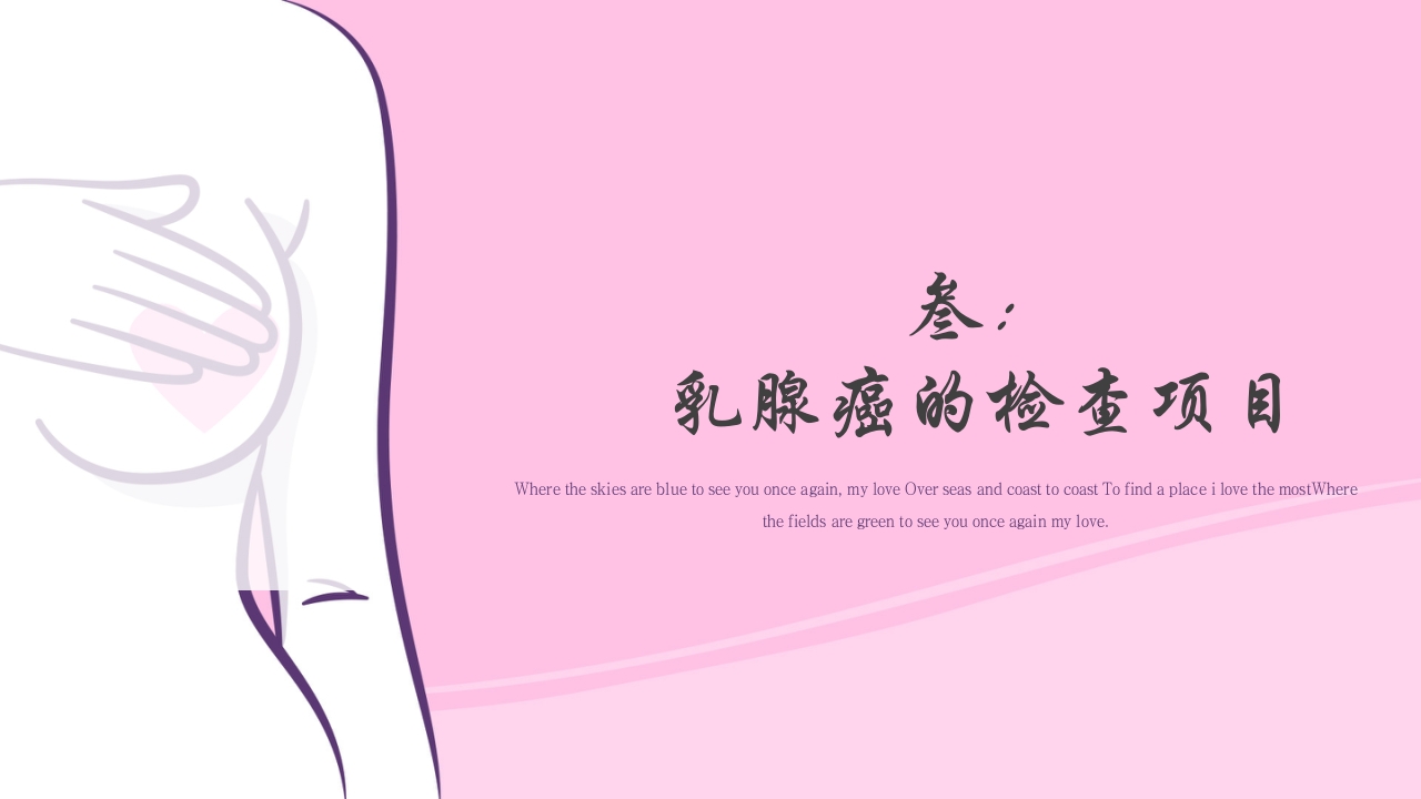 乳腺癌的预防与指导宣传PPT课件15