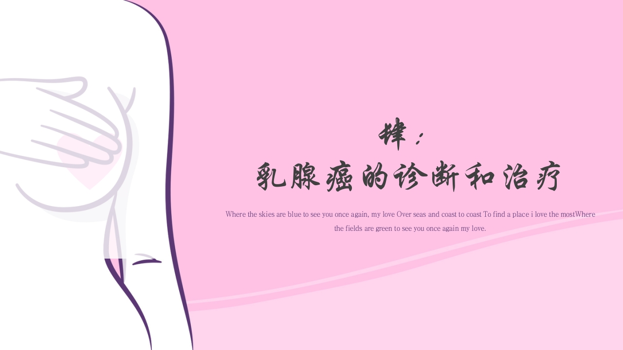 乳腺癌的预防与指导宣传PPT课件17