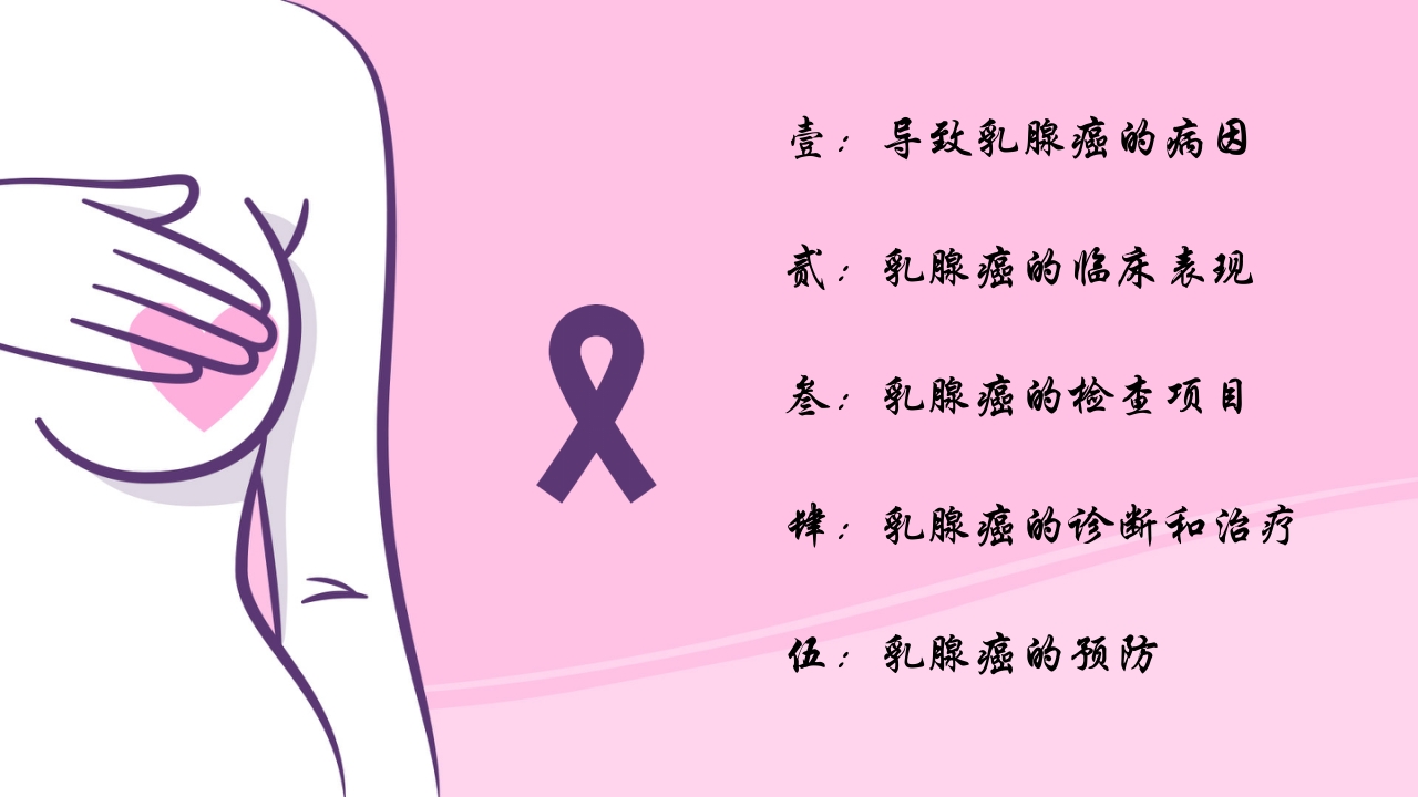 乳腺癌的预防与指导宣传PPT课件3