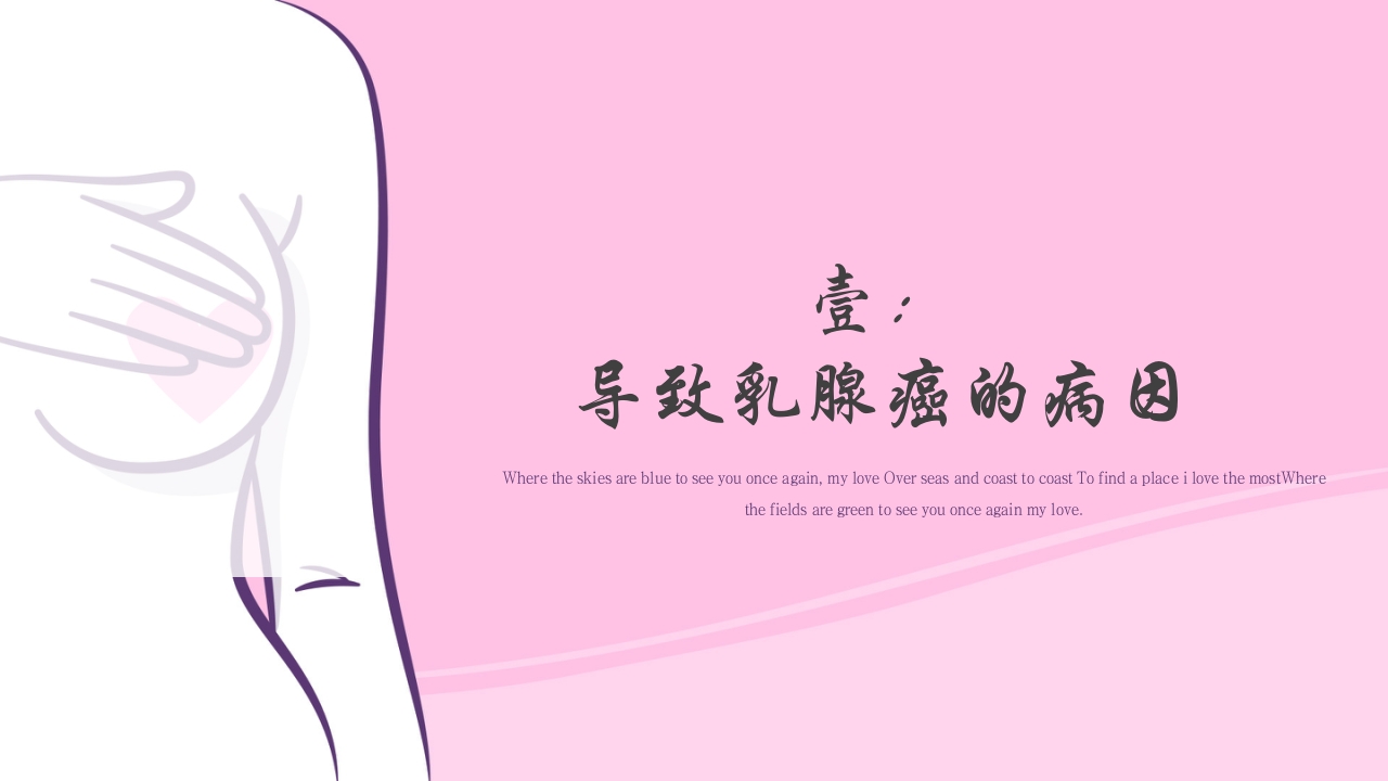 乳腺癌的预防与指导宣传PPT课件4