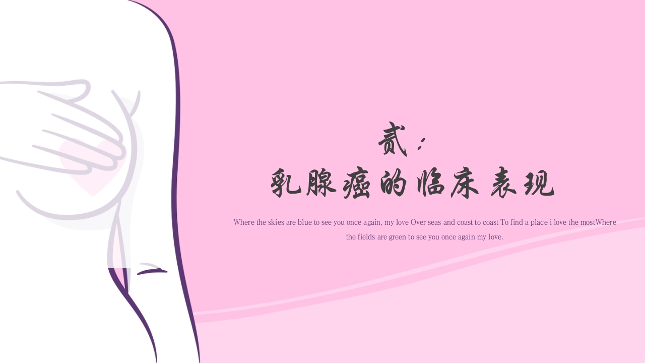 乳腺癌的预防与指导宣传PPT课件8
