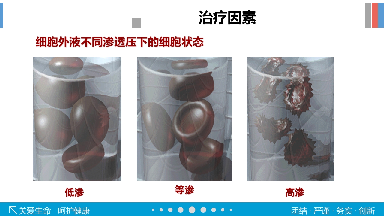 静脉输液工具的选择PPT课件48