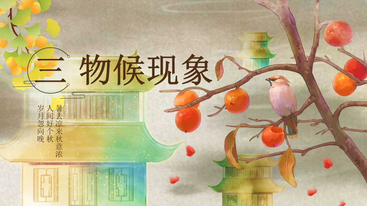 二十四节气之立秋科普PPT课件11