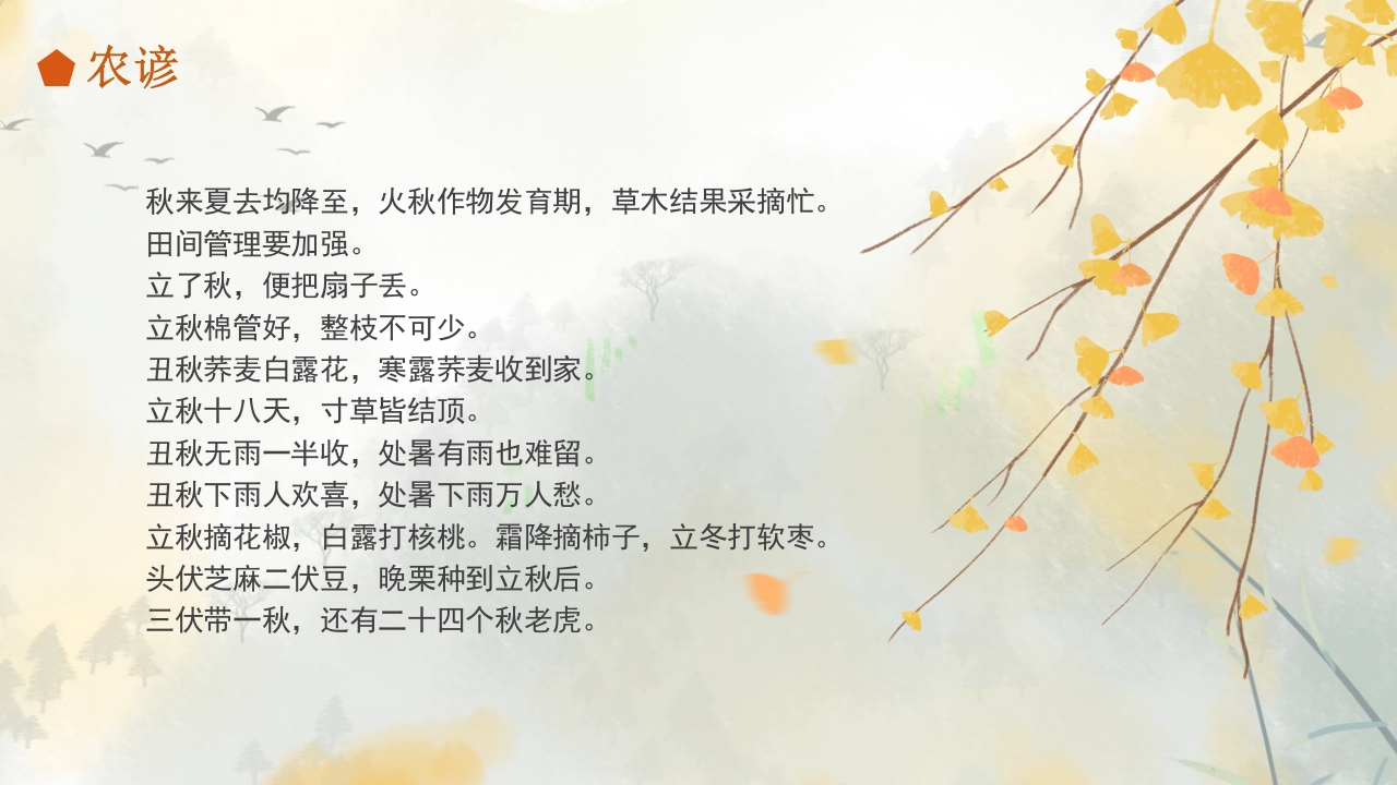 二十四节气之立秋科普PPT课件24