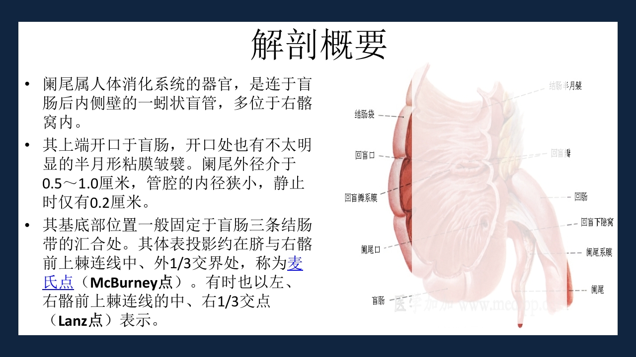 急性化脓性阑尾炎PPT课件2