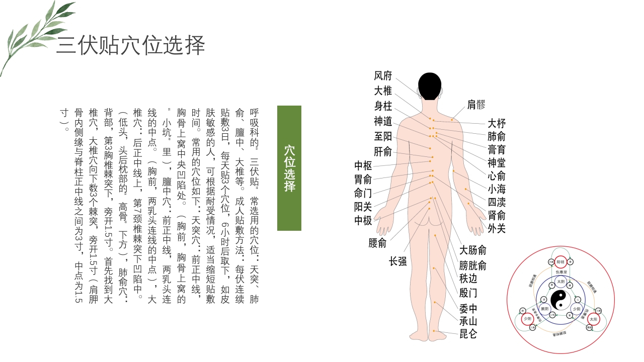 冬病夏治三伏贴PPT课件下载19