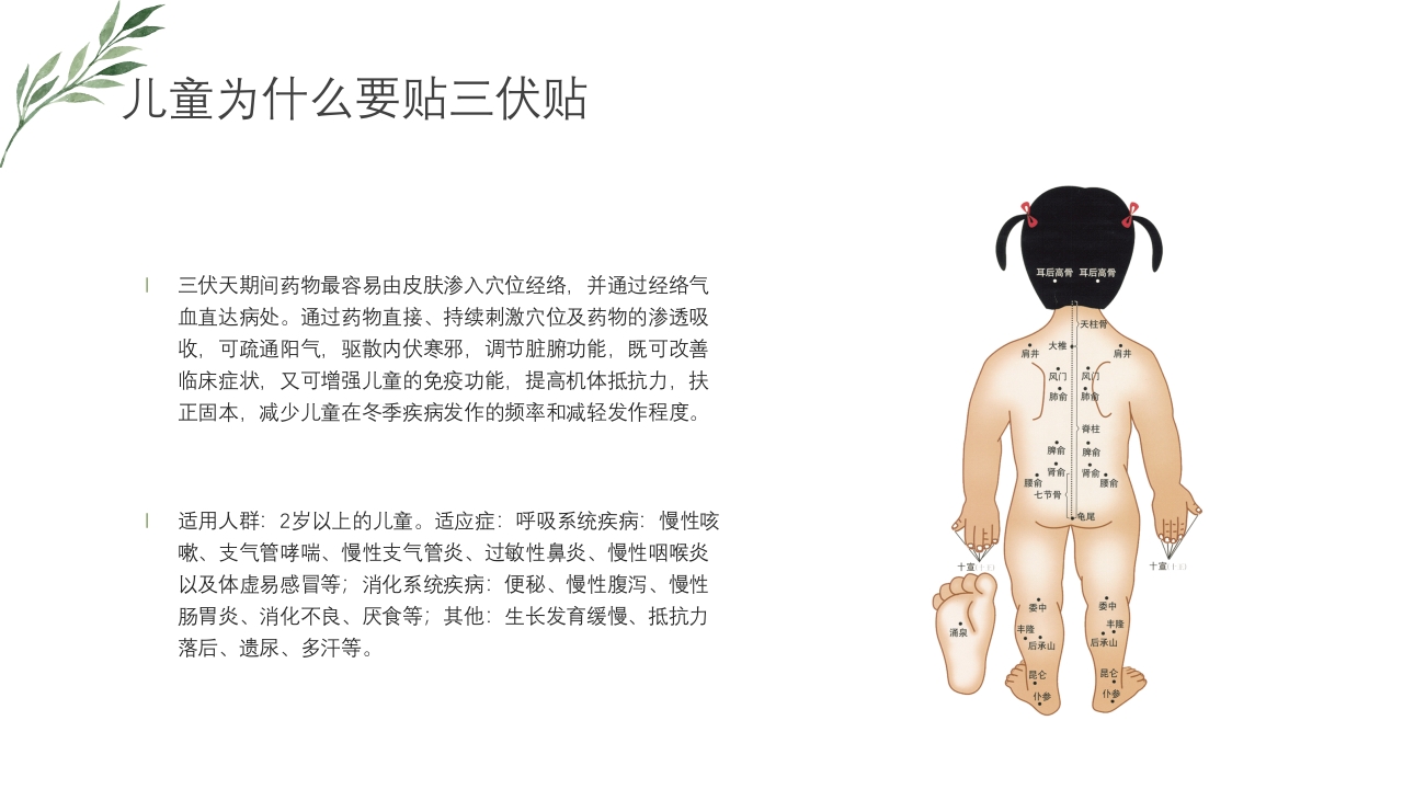 冬病夏治三伏贴PPT课件下载25