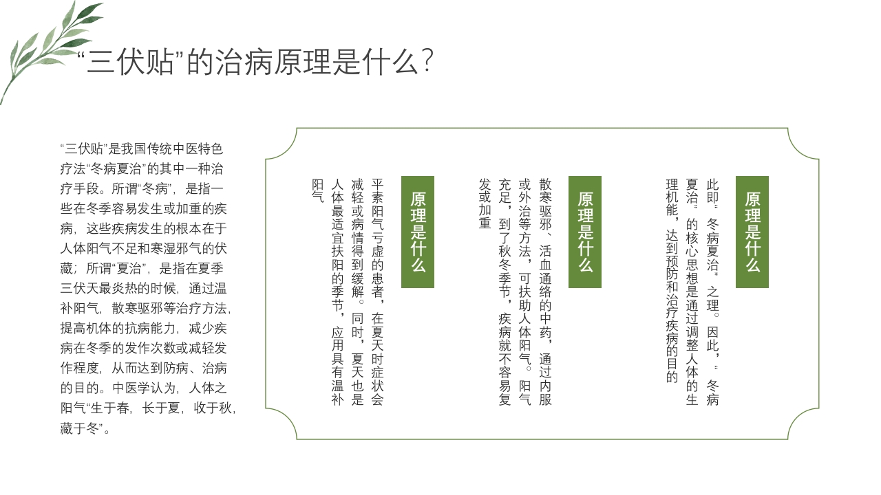 冬病夏治三伏贴PPT课件下载5
