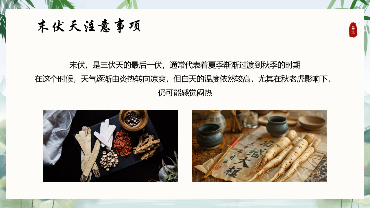 中国风末伏养生PPT课件4