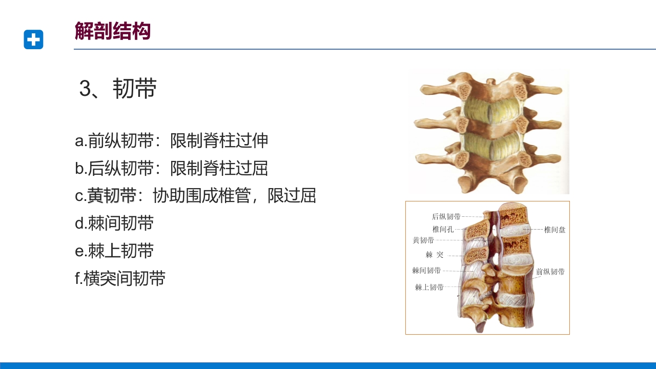 腰椎间盘突出症诊断与治疗PPT课件下载12