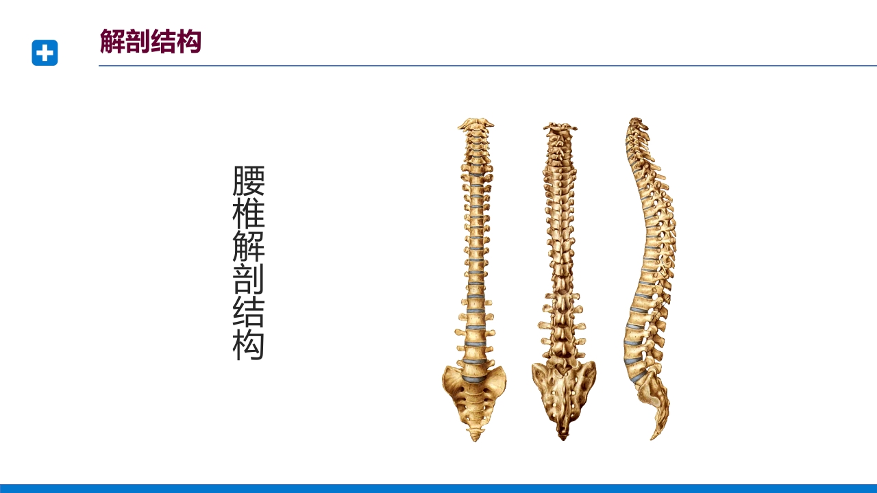腰椎间盘突出症诊断与治疗PPT课件下载8