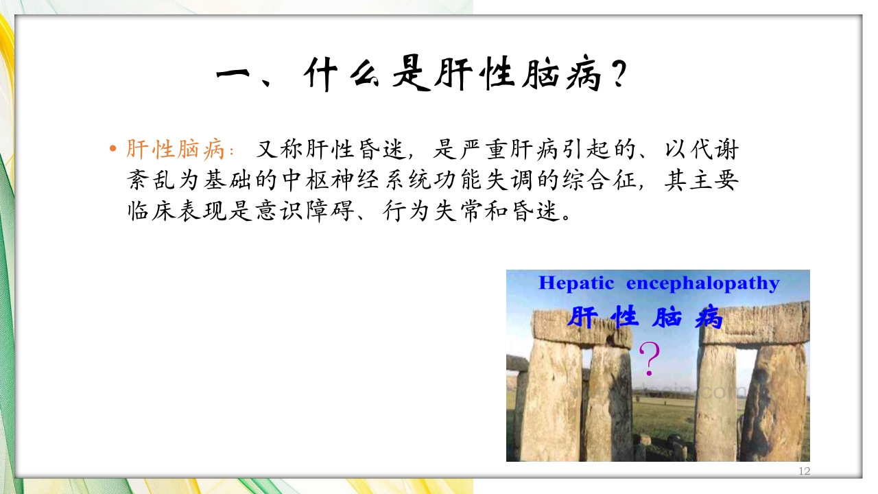 肝性脑病护理查房PPT课件12