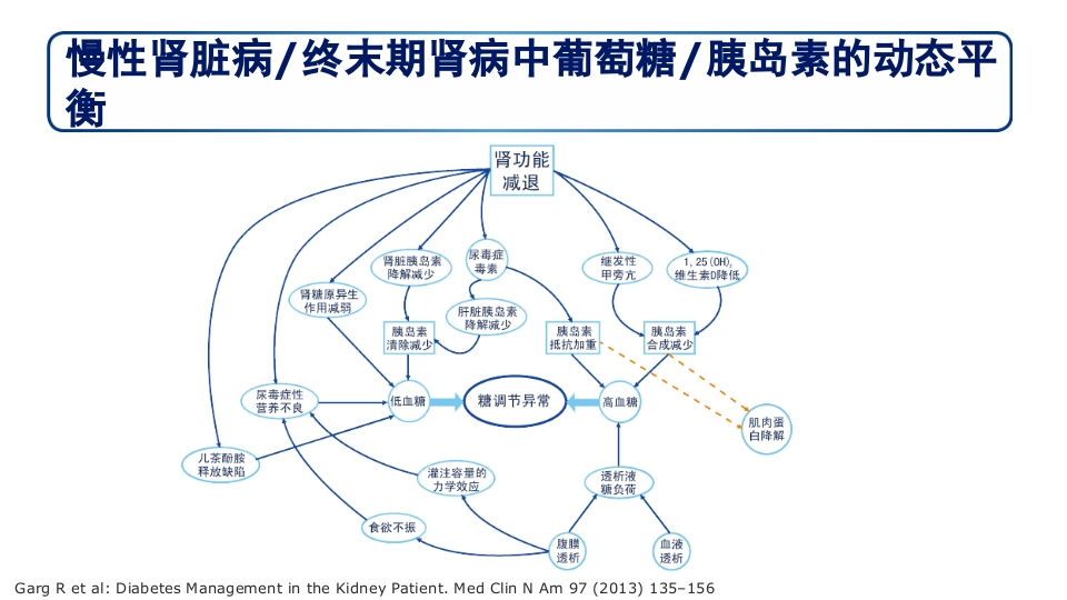 糖尿病肾病PPT课件23
