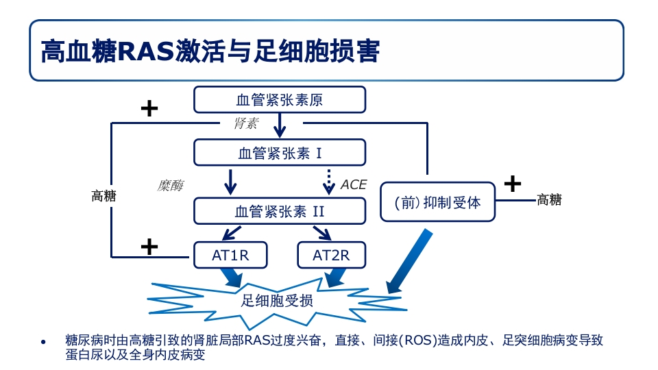 糖尿病肾病PPT课件32