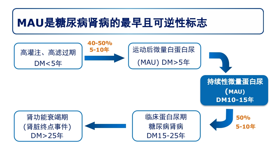 糖尿病肾病PPT课件34