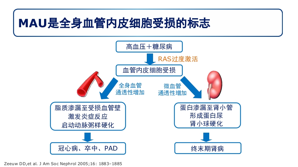 糖尿病肾病PPT课件37