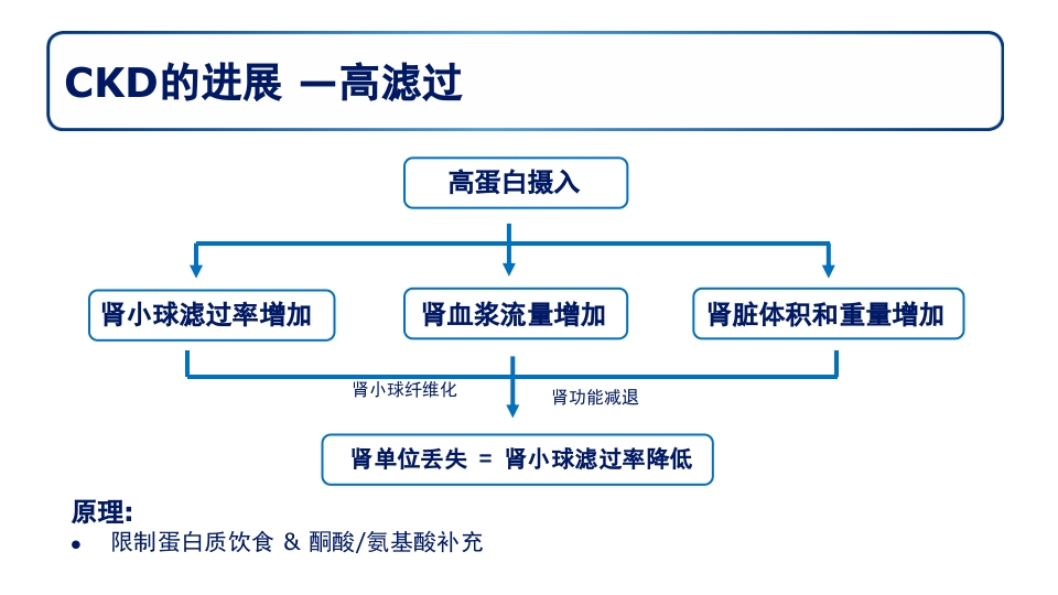 糖尿病肾病PPT课件43