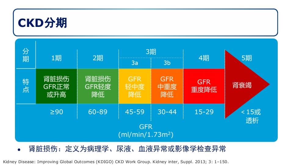 糖尿病肾病PPT课件4