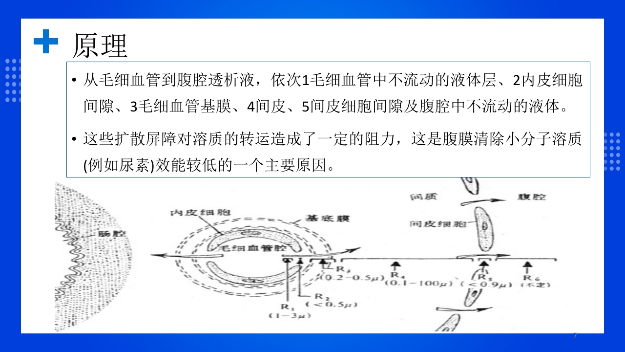 腹膜透析PPT课件下载7