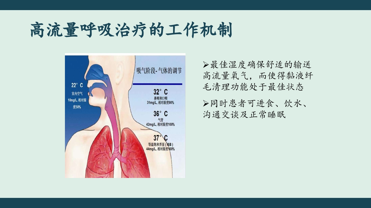 高流量湿化仪PPT课件下载18