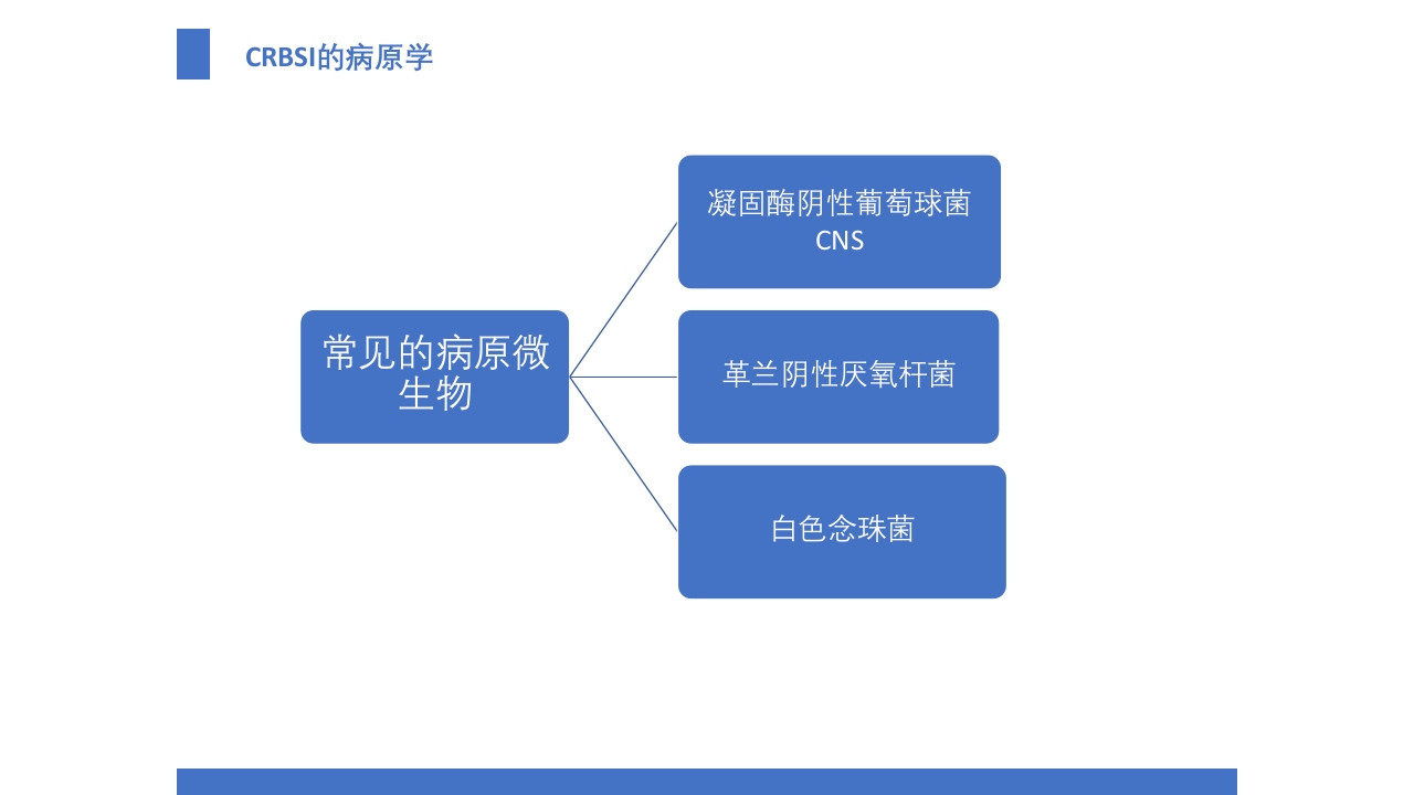 导管相关血流感染（CRBSI）的防护策略·护理部PICC培训ppt13